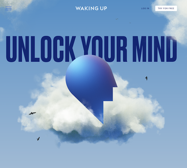 Gift subscription to the Waking Up app from the 2021 Gift Guide for Digital Entrepreneurs