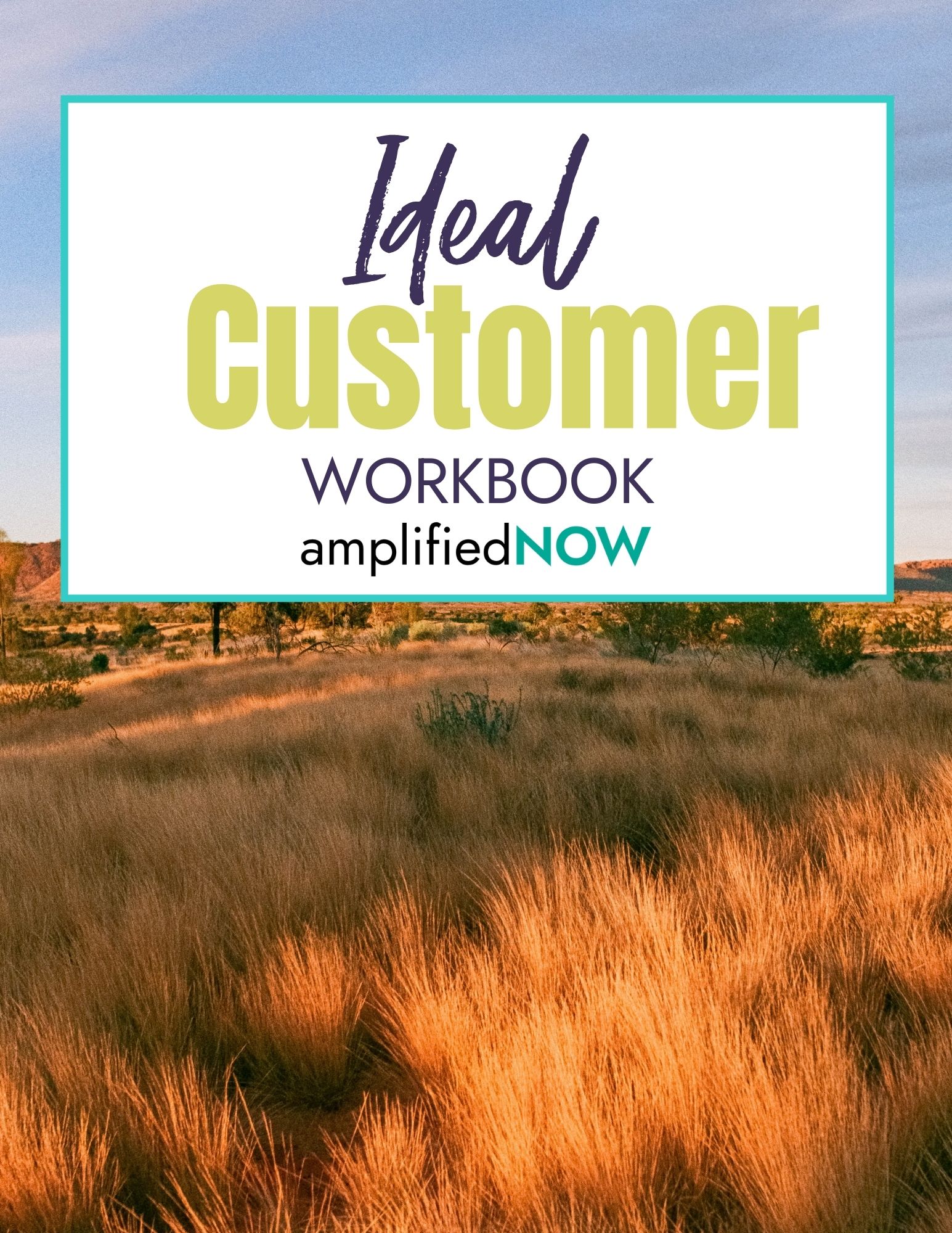 Ideal Customer Workbook (1)